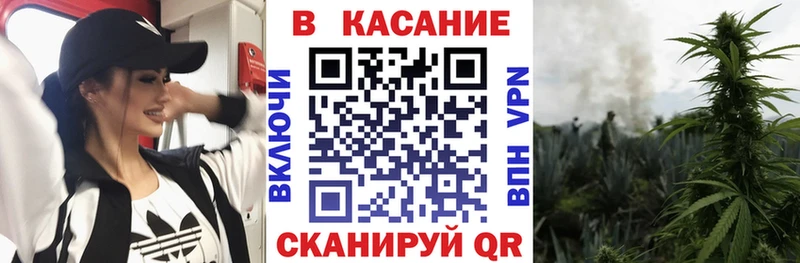 Виды наркоты Щучье АМФ  Меф мяу мяу  NBOMe  Канабис  A PVP  ГАШ 