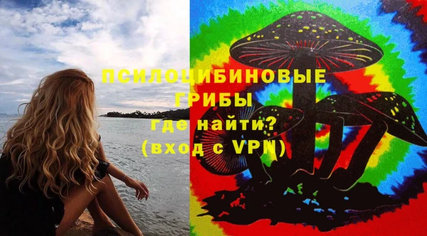 молекула духа Костерёво