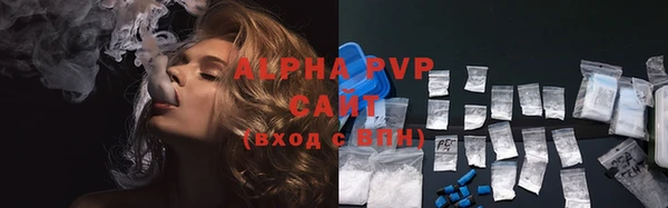 молекула духа Костерёво