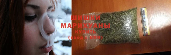 молекула духа Костерёво