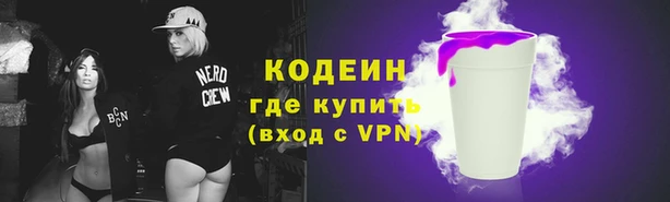 молекула духа Костерёво