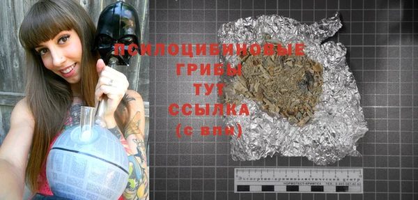 молекула духа Костерёво