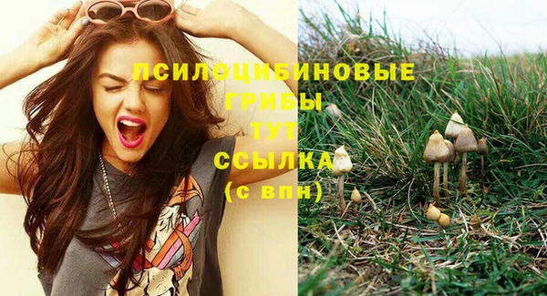 гашиш Корсаков