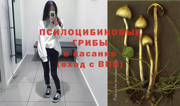 молекула духа Костерёво