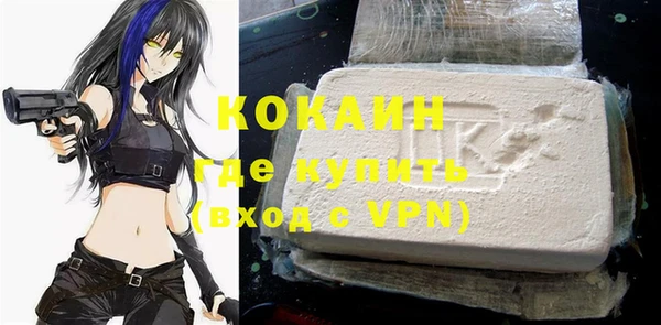 молекула духа Костерёво