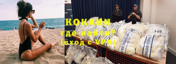 молекула духа Костерёво